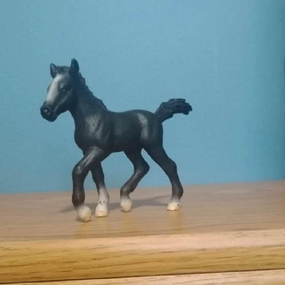 Foal Bundle - Picture 7 of 15